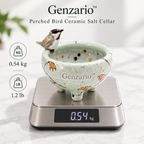 Genzario™ Sculptural Ceramic Salt Cellar — Organic Modern Kitchen Vessel for Refined Everyday Rituals
